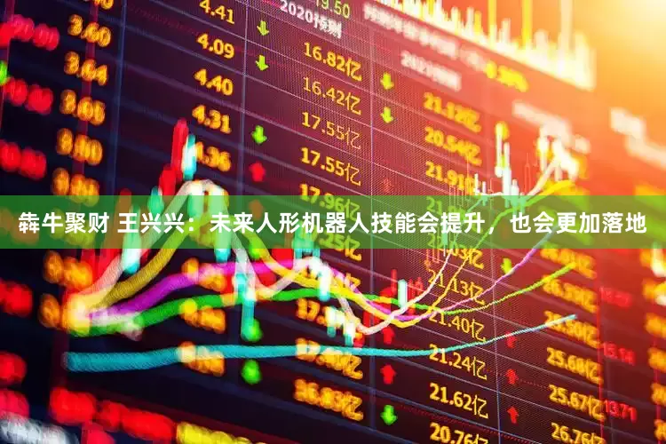 犇牛聚财 王兴兴：未来人形机器人技能会提升，也会更加落地