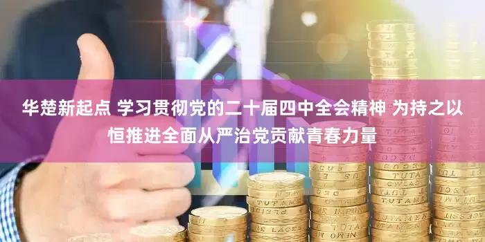 华楚新起点 学习贯彻党的二十届四中全会精神 为持之以恒推进全面从严治党贡献青春力量