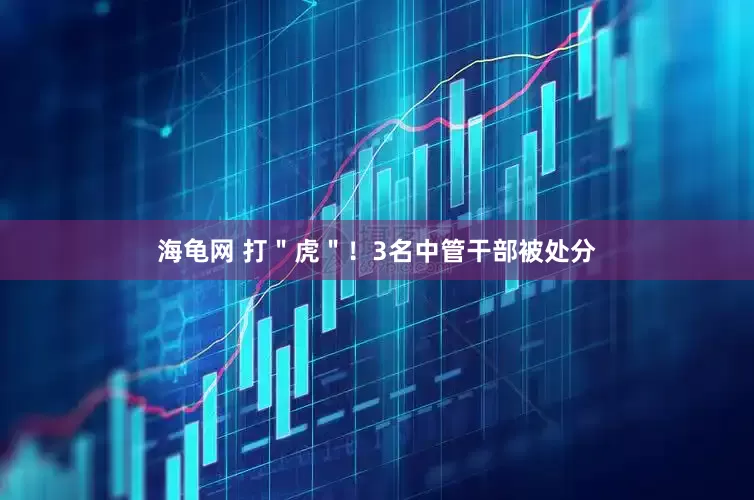 海龟网 打＂虎＂！3名中管干部被处分