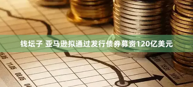 钱坛子 亚马逊拟通过发行债券募资120亿美元