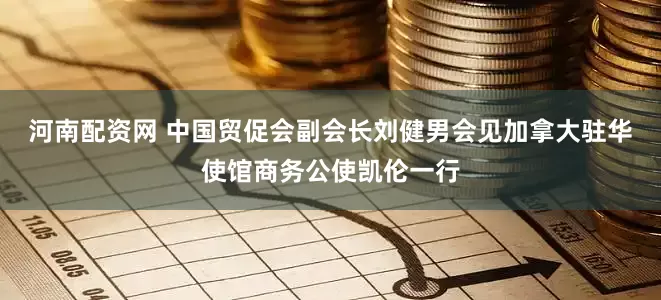 河南配资网 中国贸促会副会长刘健男会见加拿大驻华使馆商务公使凯伦一行