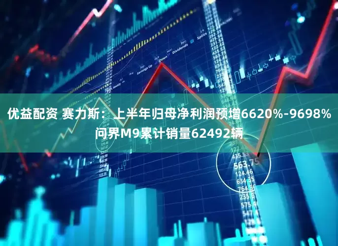 优益配资 赛力斯：上半年归母净利润预增6620%-9698%问界M9累计销量62492辆